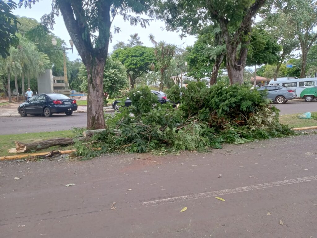 Prefeitura agiliza trabalho de limpeza de recolha de galhos e árvores depois de vendaval em Santa Helena

Na manhã desta quinta-feira (21), fortes ven