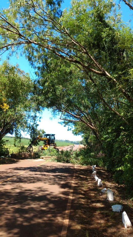 Poda de Árvores e Limpeza na Rodovia de Marechal Cândido Rondon 🌳🛣️