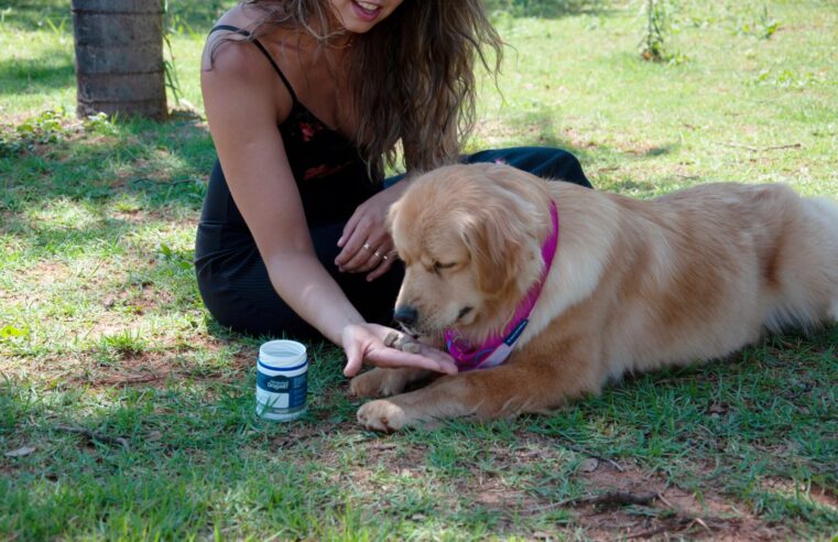 Perigos para Pets: Cuidados com Alimentos, Plantas e Cosméticos 🐾🚫