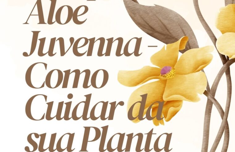 Guia Completo: Aloe Juvenna – Como Cuidar da sua Planta com Encanto Juvenil