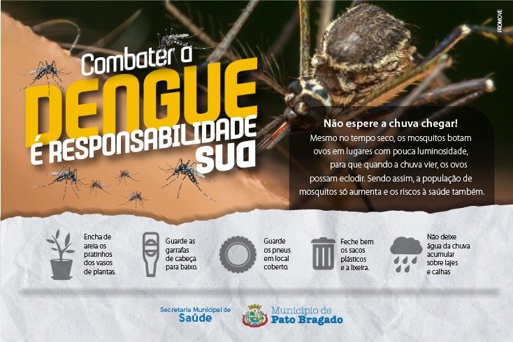 Alerta em Pato Bragado: aumento de casos de dengue preocupa autoridades! 🚨😷