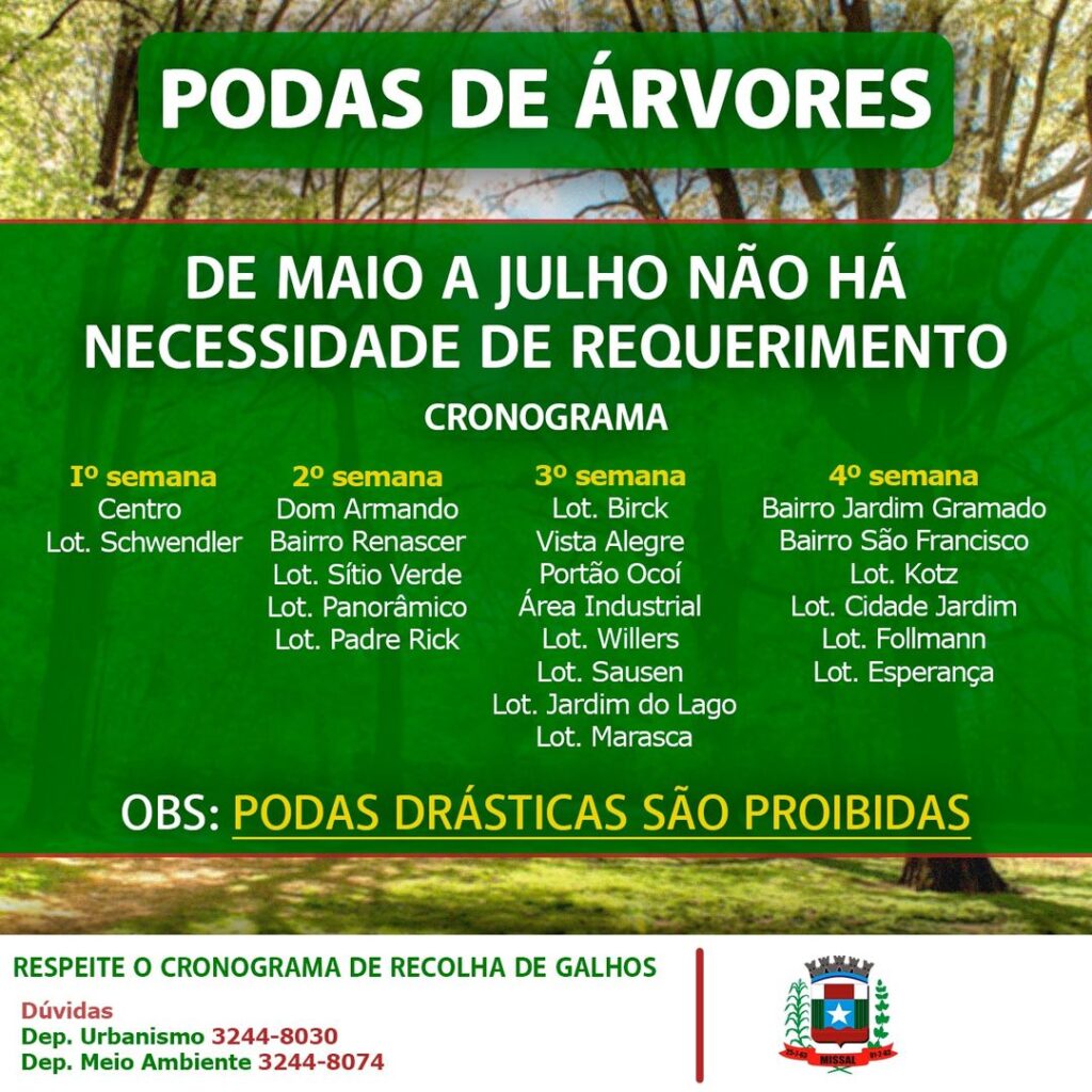 Podas de árvores serão permitidas de maio a julho em Missal

Respeite o cronograma de recolhas de galhos e lembre-se de que podas drásticas são proibi