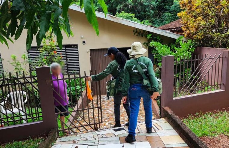 Prefeitura de Marechal Cândido Rondon intensifica combate à dengue! 🦟