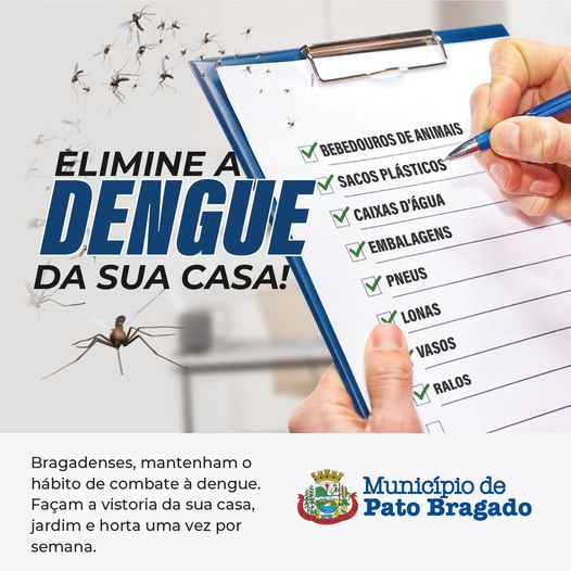 Epidemia de Dengue em Pato Bragado: Governo Age Contra o Mosquito! 🦟🚨