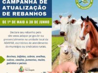 Campanha de atualização de rebanhos terá início no dia 1º de maio 

A Secretaria de Agricultura, Pecuária e Meio Ambiente de Pato Bragado, juntamente