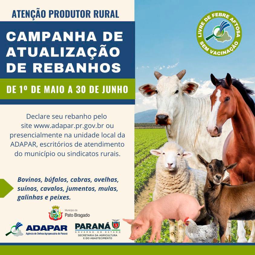 🌾 Atualização de Rebanhos em Pato Bragado: O que os Produtores Precisam Saber?