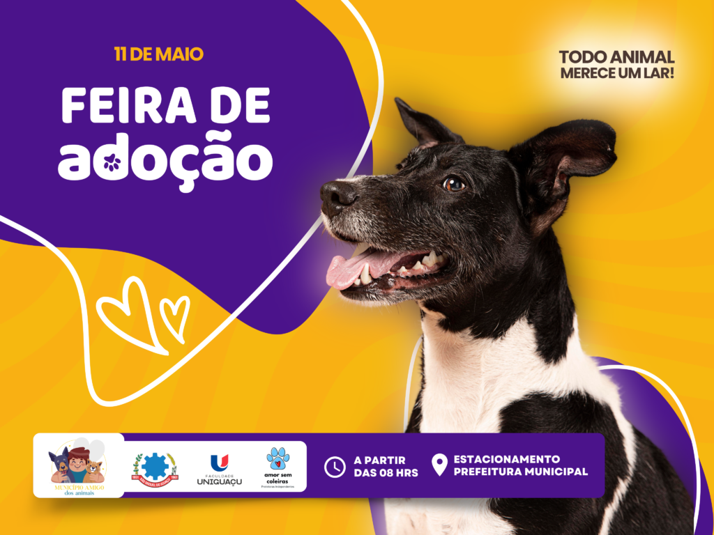 Feira de Adoção em São Miguel do Iguaçu: Lar para Patinhas Carentes! 🐾❤️