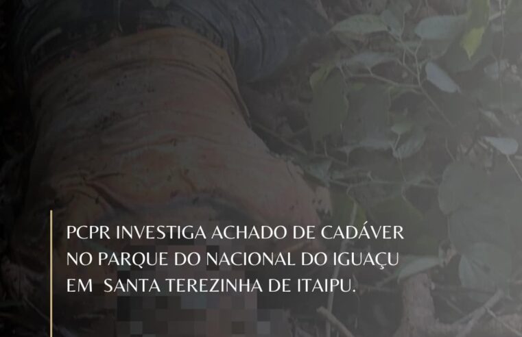 A Polícia Civil de Santa Terezinha de Itaipu atendeu a um chamado do Batalhão Polícia Ambiental “Força Verde 5ªCia” na data de ontem (20/05), por volt