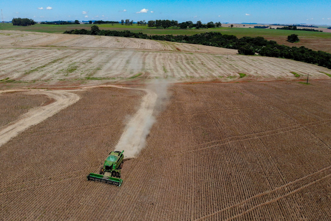 🌱 Produção de Feijão no Paraná Supera Expectativas Mesmo com Condições Climáticas Adversas