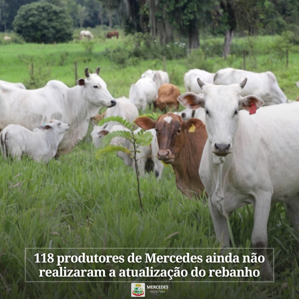 Até 30 de junho, todos os criadores de bovinos, búfalos, equinos, suínos, ovinos, caprinos, aves, peixes e colmeias de abelhas devem participar da Cam