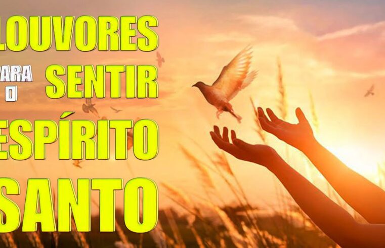 Louvores de Adoração – 50 Hinos Para Sentir O Espírito Santo – As 50 melhores músicas gospel #gospel