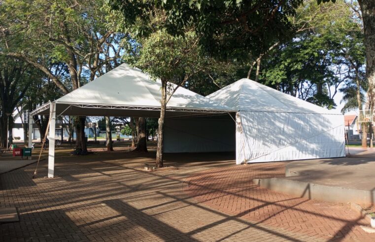 Castração de Pets em Santa Terezinha de Itaipu