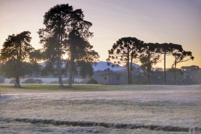 🌡️ Recorde de Frio no Paraná: Temperaturas Caem Drasticamente em 91% das Cidades ❄️