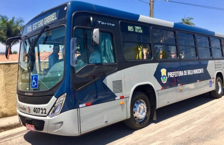 Câmara de BH aprova PL 673/23: Animais de Pequeno Porte em Ônibus! 🐾