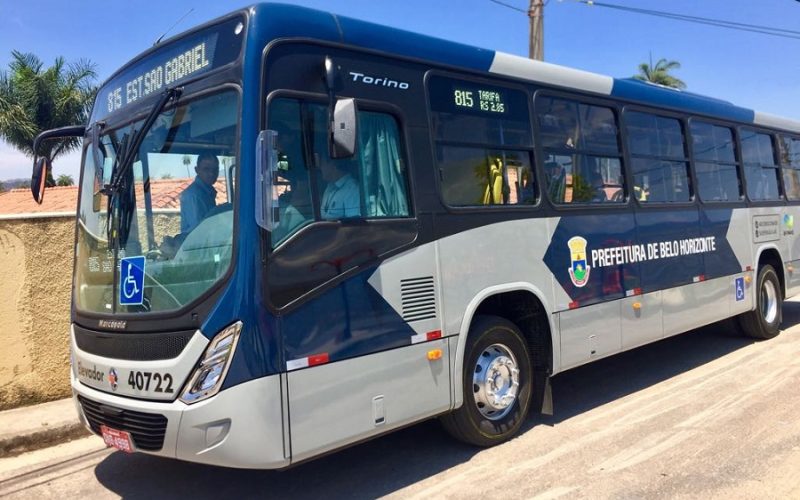 Câmara de BH aprova PL 673/23: Animais de Pequeno Porte em Ônibus! 🐾