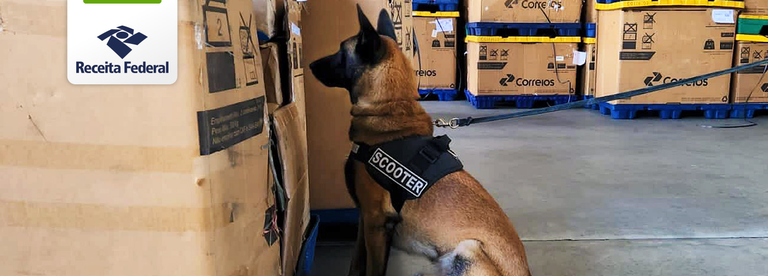 ✈️ K9 da Alfândega de Manaus apreende 2,3KG de Drogas Escondidas em Livros e Creme de Pentear