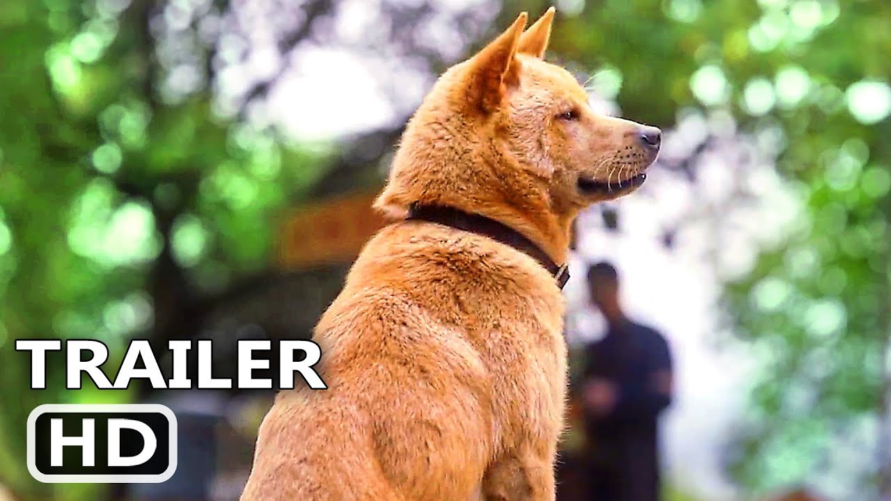 HACHIKO PARA SEMPRE Trailer Dublado (2024)