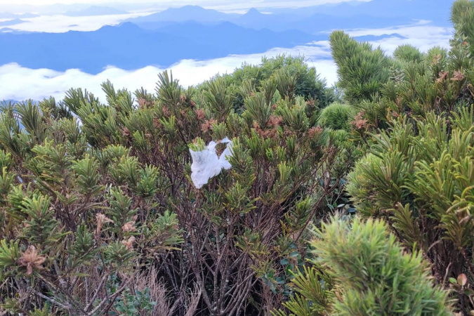 Descartes Irregulares Ameaçam Águas Naturais nas Unidades de Conservação do Paraná 🌿🚯