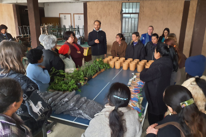 Descubra os Benefícios Nutricionais das PANCs: Oficinas em Bituruna e União da Vitória 🌱🍽️