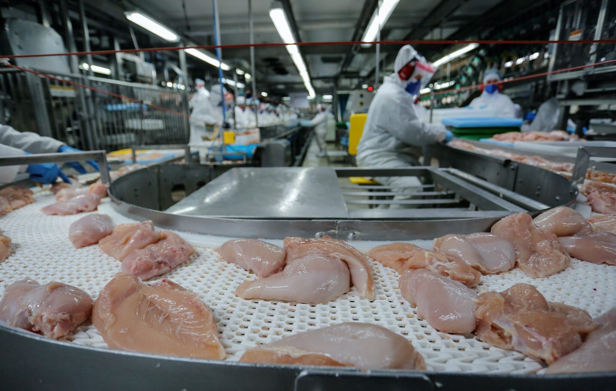 Carne de Frango: A Proteína em Alta na Mesa dos Brasileiros 🍗🇧🇷