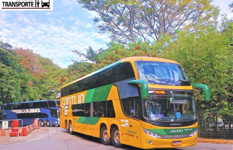 Tendência surpreendente no transporte rodoviário: o que está impulsionando a busca por luxo nos ônibus?