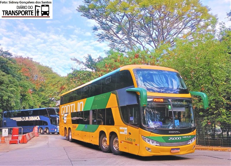 Tendência surpreendente no transporte rodoviário: o que está impulsionando a busca por luxo nos ônibus?