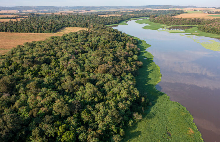 🌳 Urgente: Início da coleta de dados para inventário da faixa de proteção do reservatório de Itaipu