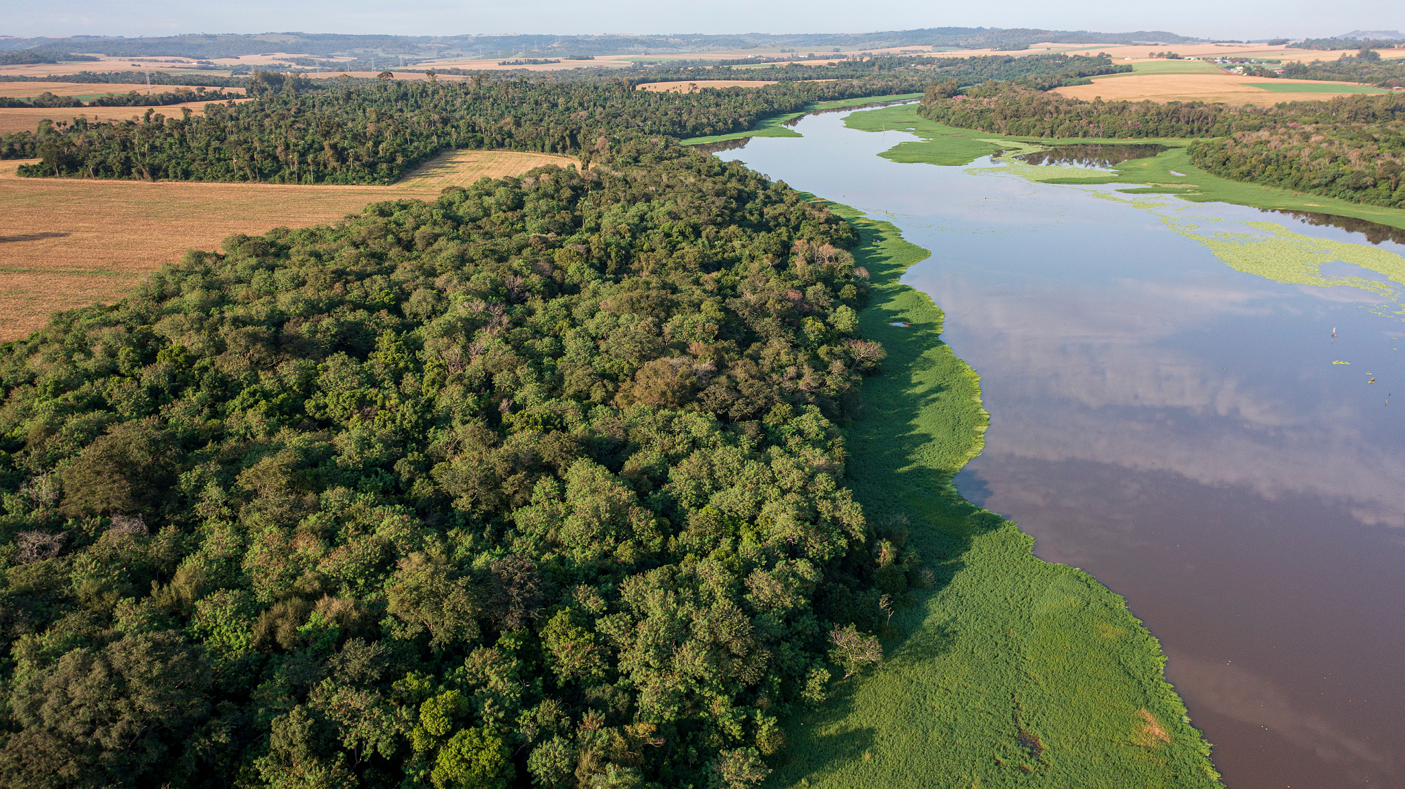 🌳 Urgente: Início da coleta de dados para inventário da faixa de proteção do reservatório de Itaipu