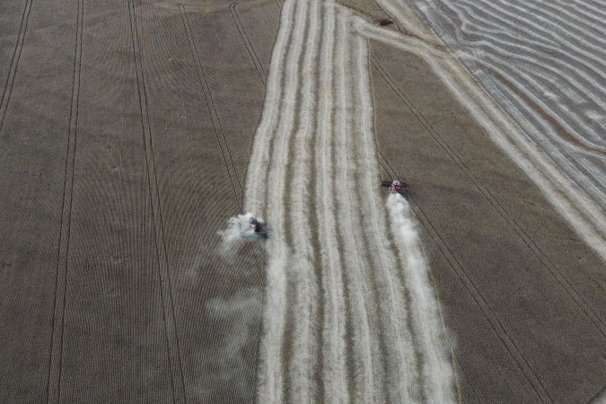 Paraná Registra Recorde no Valor Bruto da Produção Agropecuária em 2023! 🌾📈