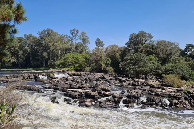 Rio Iguaçu ganha novos parques urbanos: preservação e lazer à beira do rio 🌳🌿