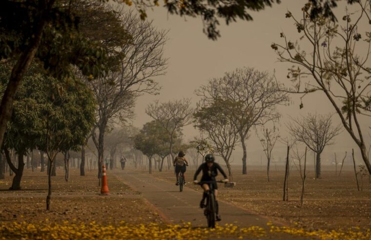 🚨 Fumaça de Incêndios: Perigo à Saúde e Sintomas Alarmantes! Saiba Como se Proteger