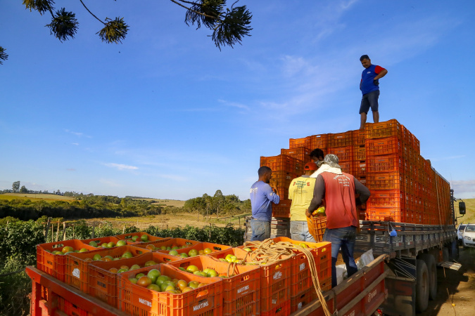 🚜 Investimentos em Agricultura no Paraná Quadruplicam em 2024: Descubra o Impacto no Setor! 🌱