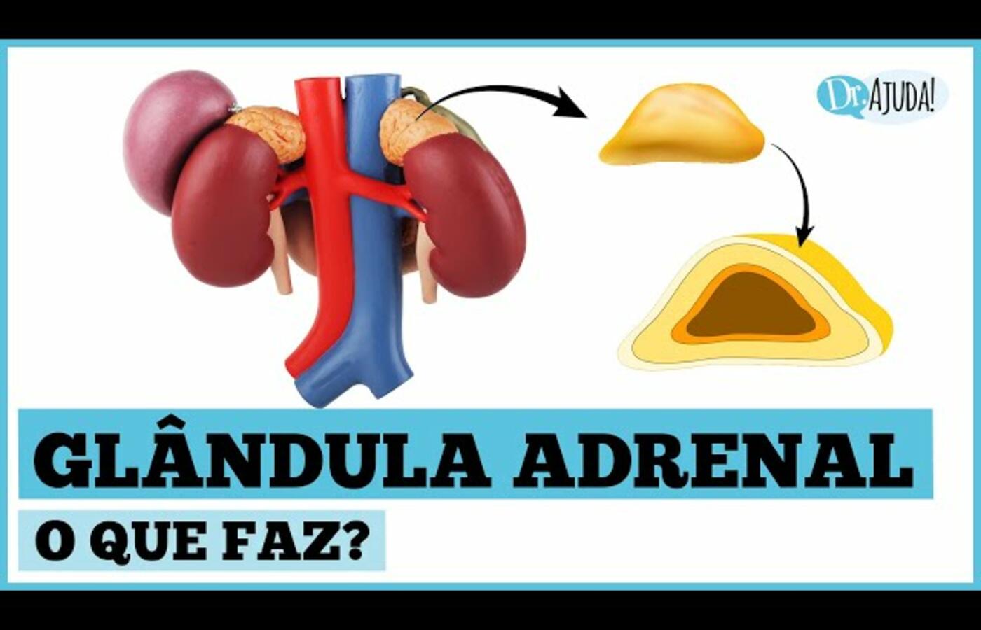 Problemas na Glândula Adrenal: Identifique Sintomas e Causas Urgentes! 🩺⚠️