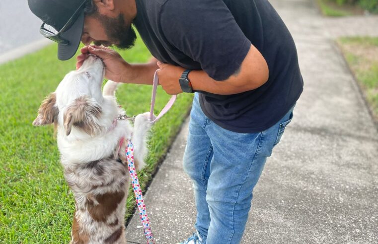 Cão: o melhor amigo dos seres humanos, por Bruno Nascimento