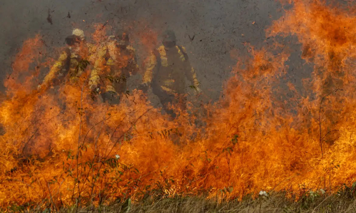 Alerta de Baixa Umidade e Vendavais: Perigo de Queimadas no Centro-Oeste e Nordeste! 🔥