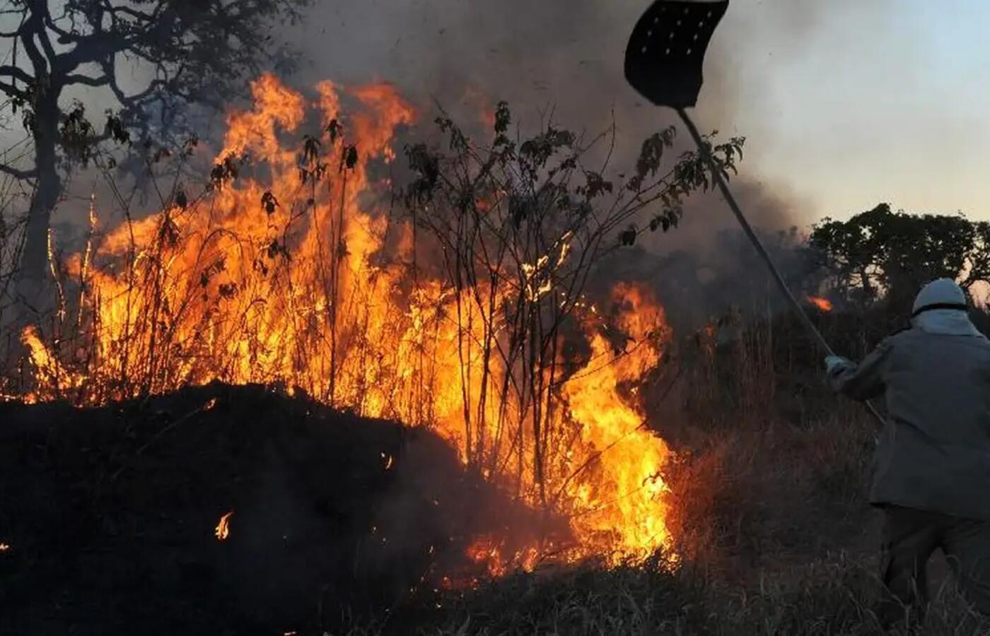 Brasil Registra Aumento Alarmante em Incêndios Florestais: Quase o Total de 2023 em Nove Meses 🌲🔥