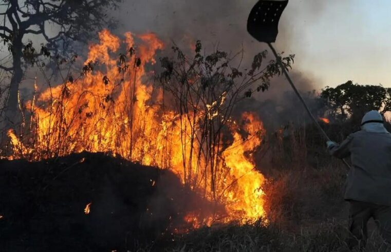 Brasil Registra Aumento Alarmante em Incêndios Florestais: Quase o Total de 2023 em Nove Meses 🌲🔥