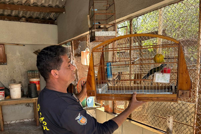 🚨 IAT Apreende Pássaros Criados Ilegalmente no Noroeste do Paraná! Multas Totalizam R$ 18,5 Mil 🐦