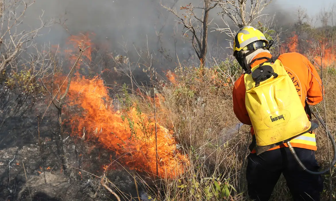 Crise de Queimadas no Brasil: 184.363 Focos e Medidas Emergenciais 🌍🔥