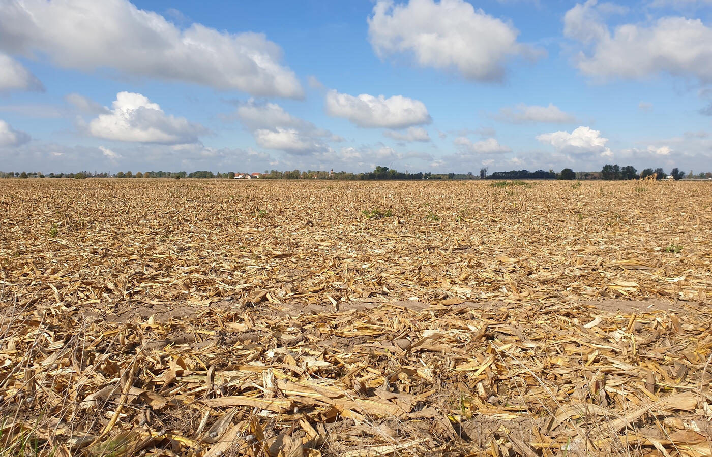 Brasil enfrenta pior seca em 70 anos: aumento nas contas e impacto econômico são inevitáveis! 🌵⚠️