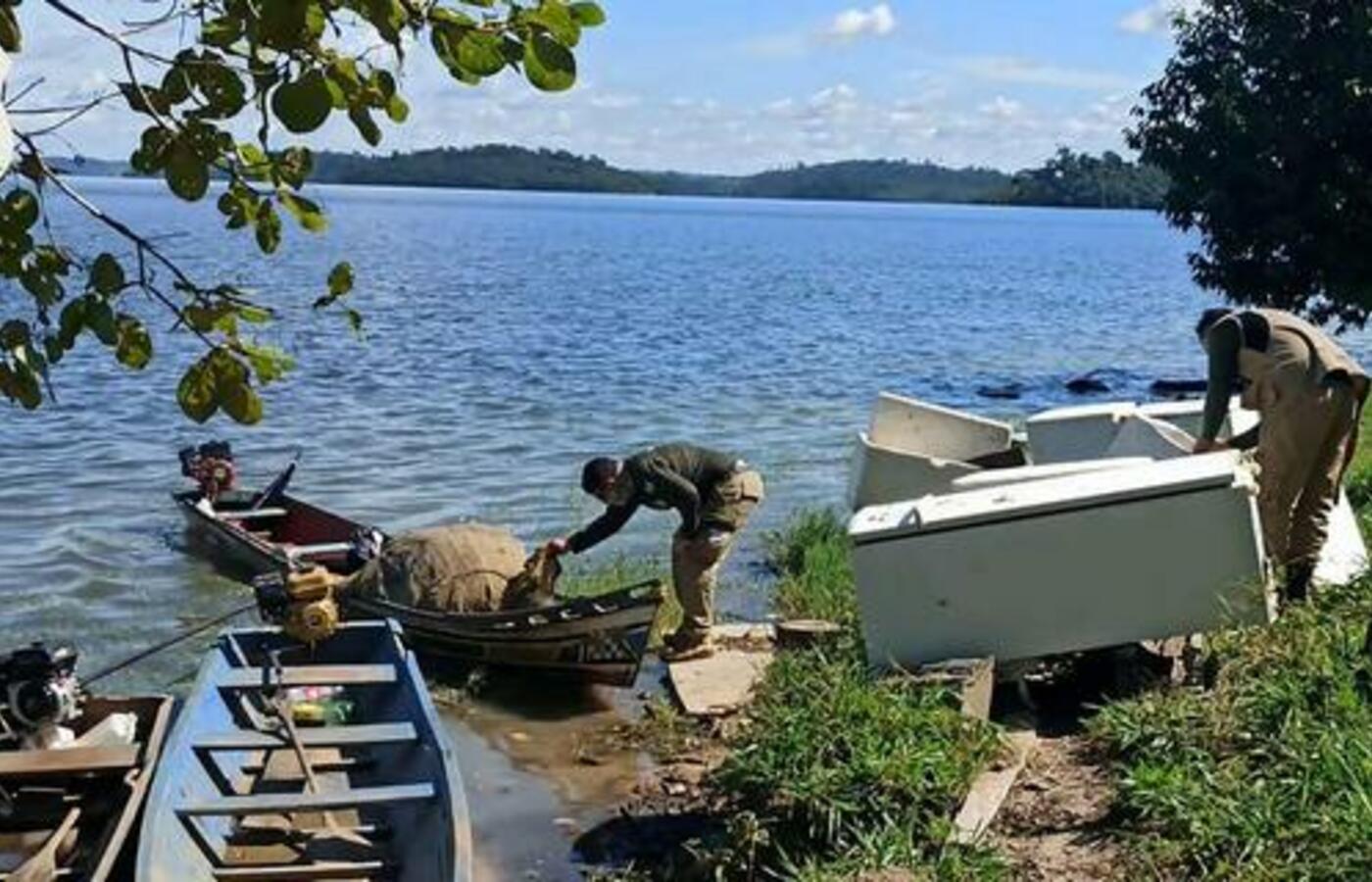 Período de Piracema e Seguro-Defeso: Saiba Como Garantir Seu Benefício! 🐟