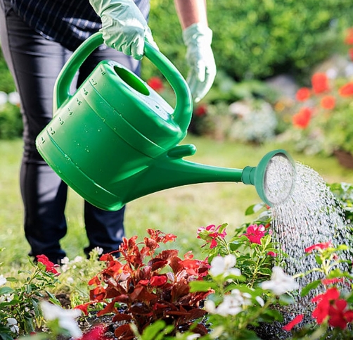 Transforme Seu Jardim Agora! 🌷 Dicas Imperdíveis para Revitalizar Suas Plantas e Aproveitar a Estação das Flores