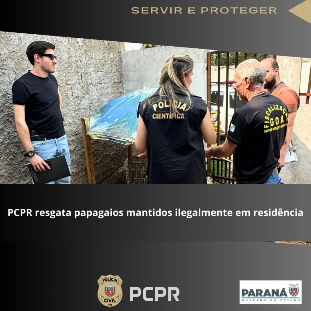 Após uma denúncia anônima, policiais civis da 6ª Subdivisão Policial realizaram o resgate de dois papagaios que eram mantidos em cativeiro, dentro de
