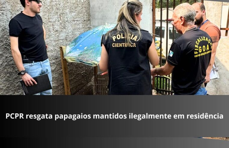 Polícia Resgata Papagaios em Cativeiro: Descubra os Detalhes da Denúncia e as Consequências!