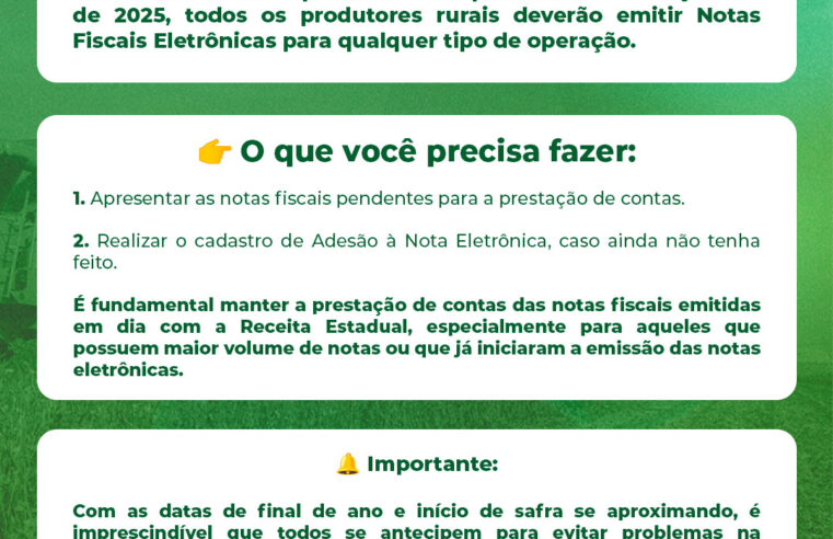 Prazo para emissão de Nota Fiscal Eletrônica em Entre Rios do Oeste