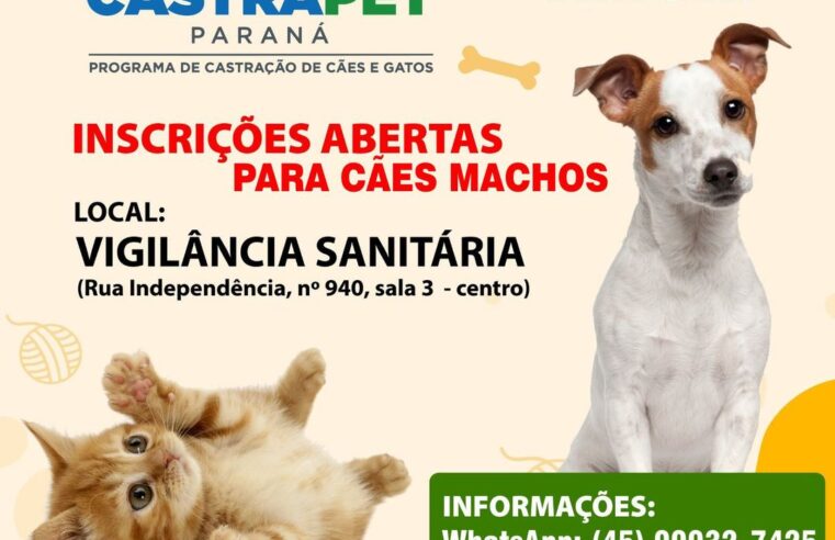 Castrapet Paraná: vagas para castração de cães em Rondon