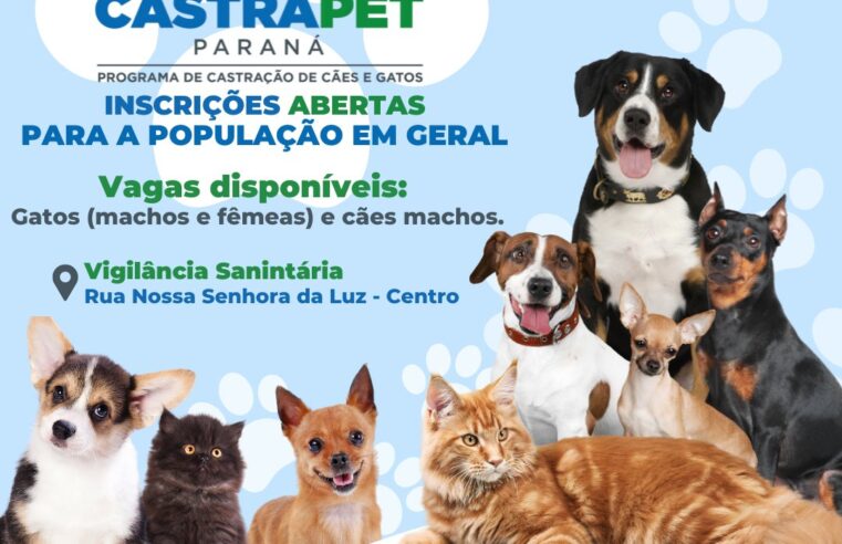 Castrapet Missal: últimas vagas para castração de pets 🐾