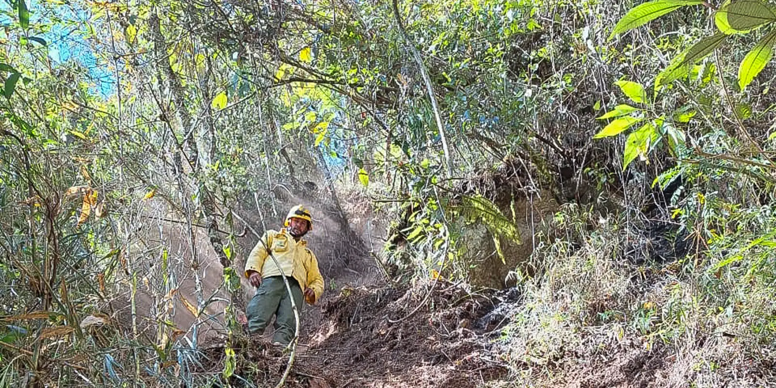 Incêndio no Parque Nacional do Itatiaia: Investigação Revela Causas