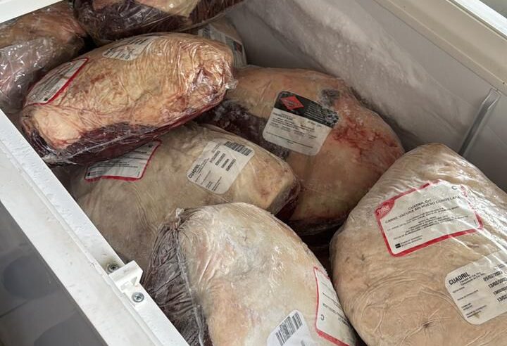 Receita Federal em Foz do Iguaçu Apreende 441 kg de Carnes e Camarões: Saiba os Riscos Envolvidos