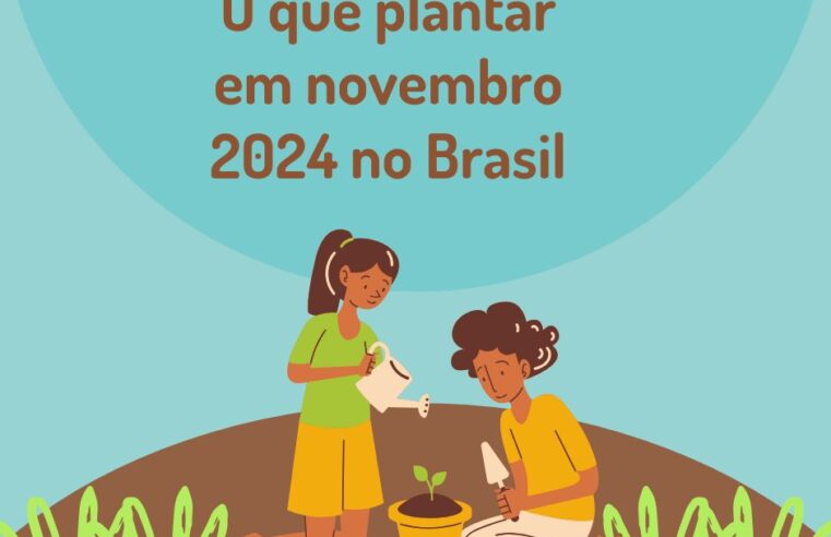 O que plantar em novembro 2024 no Brasil